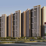 Eevva  - siddhashila Group